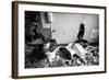 Broken Toilets-John Kershner-Framed Photographic Print