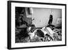 Broken Toilets-John Kershner-Framed Photographic Print