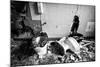 Broken Toilets-John Kershner-Mounted Photographic Print