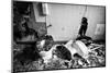 Broken Toilets-John Kershner-Mounted Photographic Print