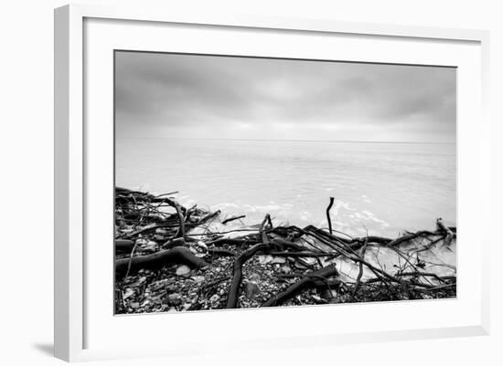 Broken Tree Branches on the Beach after Storm. Sea on a Cloudy Cold Day. Black and White, far Horiz-Michal Bednarek-Framed Photographic Print