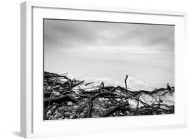 Broken Tree Branches on the Beach after Storm. Sea on a Cloudy Cold Day. Black and White, far Horiz-Michal Bednarek-Framed Photographic Print