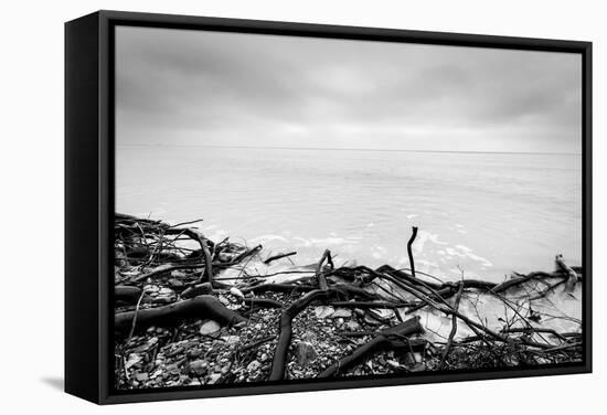 Broken Tree Branches on the Beach after Storm. Sea on a Cloudy Cold Day. Black and White, far Horiz-Michal Bednarek-Framed Stretched Canvas