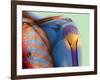 Broken Upper Arm Bone, X-ray-Du Cane Medical-Framed Photographic Print