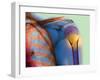 Broken Upper Arm Bone, X-ray-Du Cane Medical-Framed Photographic Print