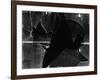 Broken Window, 1969-Brett Weston-Framed Photographic Print
