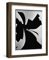 Broken Window, 1971-Brett Weston-Framed Photographic Print