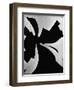 Broken Window, 1971-Brett Weston-Framed Photographic Print