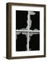 Broken Window, 1971-Brett Weston-Framed Photographic Print