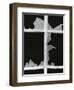 Broken Window, 1971-Brett Weston-Framed Photographic Print