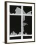 Broken Window, 1971-Brett Weston-Framed Photographic Print