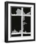 Broken Window, 1971-Brett Weston-Framed Premium Photographic Print