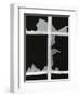Broken Window, 1971-Brett Weston-Framed Premium Photographic Print