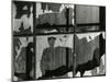 Broken Window, 1978-Brett Weston-Mounted Premium Photographic Print