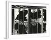 Broken Window and Metal, 1976-Brett Weston-Framed Photographic Print