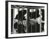 Broken Window and Metal, 1976-Brett Weston-Framed Photographic Print
