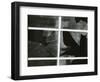 Broken Window, c. 1970-Brett Weston-Framed Photographic Print