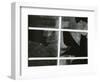 Broken Window, c. 1970-Brett Weston-Framed Photographic Print