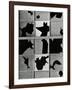 Broken Window, c. 1970-Brett Weston-Framed Photographic Print