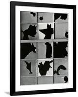 Broken Window, c. 1970-Brett Weston-Framed Photographic Print