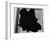 Broken Window, San Francisco, 1937-Brett Weston-Framed Photographic Print