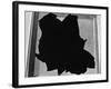 Broken Window, San Francisco, 1937-Brett Weston-Framed Photographic Print