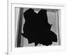 Broken Window, San Francisco, 1937-Brett Weston-Framed Photographic Print