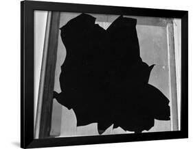 Broken Window, San Francisco, 1937-Brett Weston-Framed Photographic Print