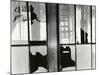Broken Window, Storefront, San Francisco, 1960-Brett Weston-Mounted Photographic Print