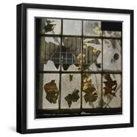 Broken Window With Flowers Growing-Fay Godwin-Framed Giclee Print