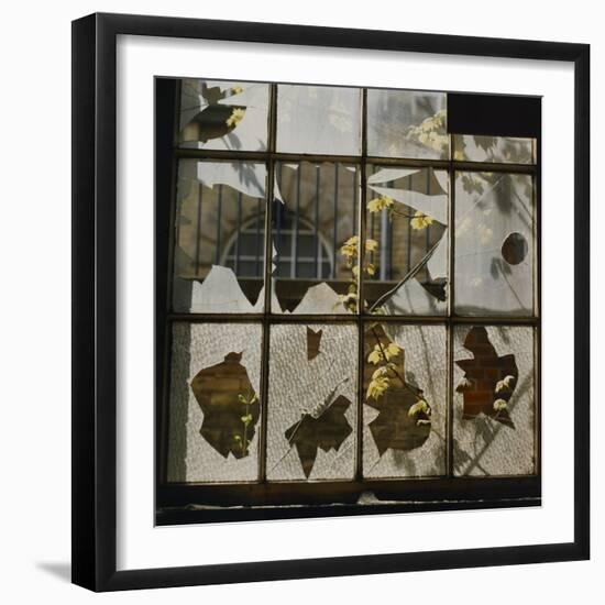 Broken Window With Flowers Growing-Fay Godwin-Framed Giclee Print