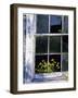 Broken Windowpane-null-Framed Photographic Print
