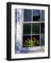 Broken Windowpane-null-Framed Photographic Print