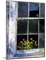 Broken Windowpane-null-Mounted Photographic Print