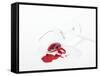 Broken Wine Glass with Spilt Red Wine-null-Framed Stretched Canvas