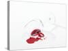 Broken Wine Glass with Spilt Red Wine-null-Stretched Canvas