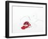 Broken Wine Glass with Spilt Red Wine-null-Framed Photographic Print