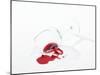 Broken Wine Glass with Spilt Red Wine-null-Mounted Photographic Print