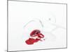 Broken Wine Glass with Spilt Red Wine-null-Mounted Photographic Print