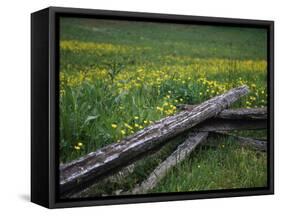 Broken Wooden Fence in a Field-null-Framed Stretched Canvas
