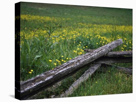 Broken Wooden Fence in a Field-null-Stretched Canvas