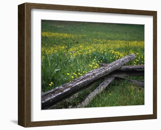 Broken Wooden Fence in a Field-null-Framed Photographic Print