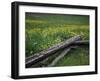 Broken Wooden Fence in a Field-null-Framed Photographic Print