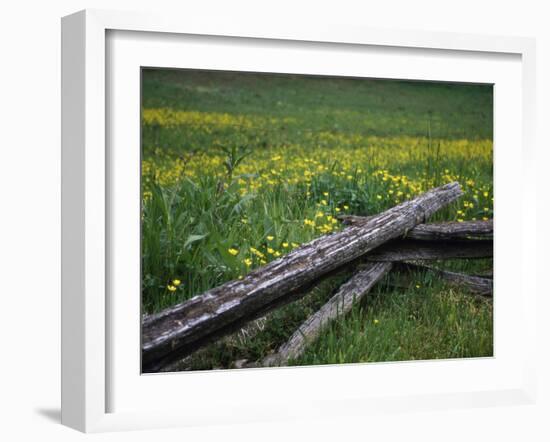 Broken Wooden Fence in a Field-null-Framed Photographic Print
