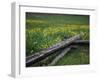 Broken Wooden Fence in a Field-null-Framed Photographic Print