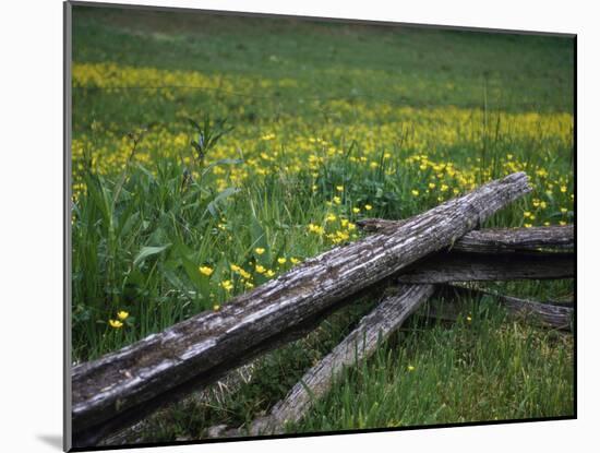 Broken Wooden Fence in a Field-null-Mounted Photographic Print