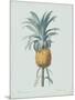 Bromelia Ananas - Celadon-Pierre Joseph Redoute-Mounted Giclee Print