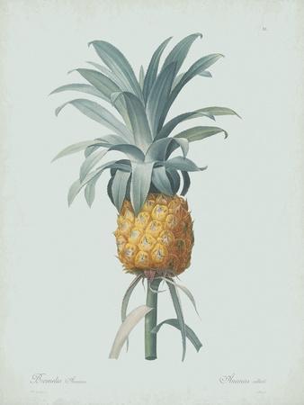 https://imgc.allpostersimages.com/img/posters/bromelia-ananas-celadon_u-L-F9KBX20.jpg?artPerspective=n