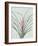 Bromelia Karatas - Celadon-Pierre Joseph Redoute-Framed Giclee Print