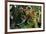 Bromeliad Plant-Dr. Keith Wheeler-Framed Photographic Print